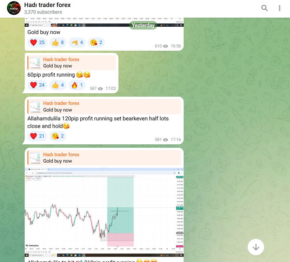 Hadi trader forex Telegram channel